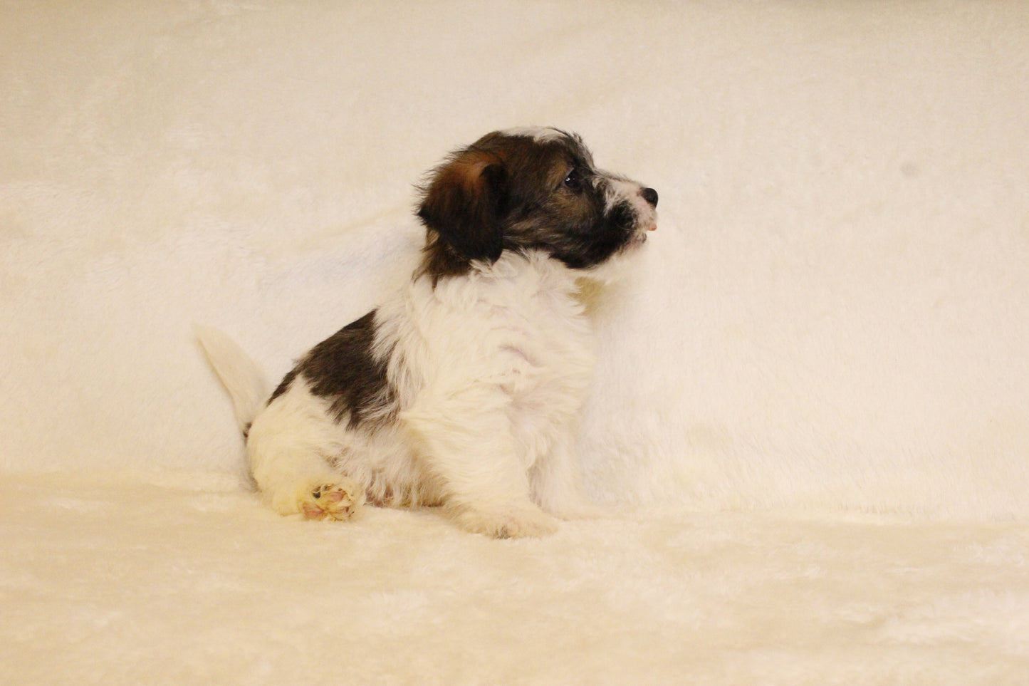 ミルベビー④ 男の子