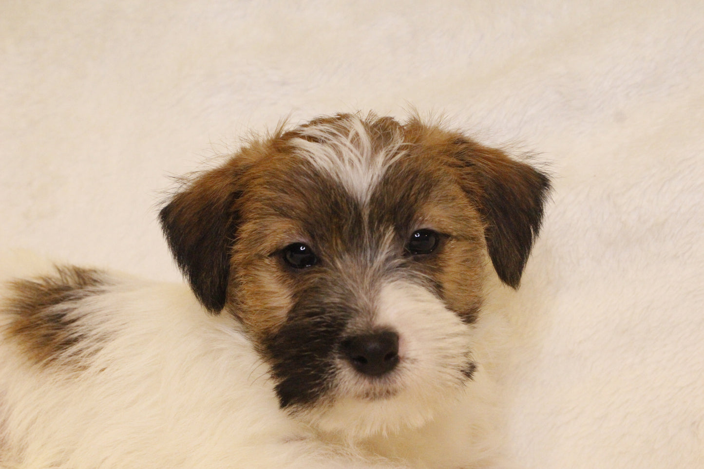 ミルベビー② 男の子