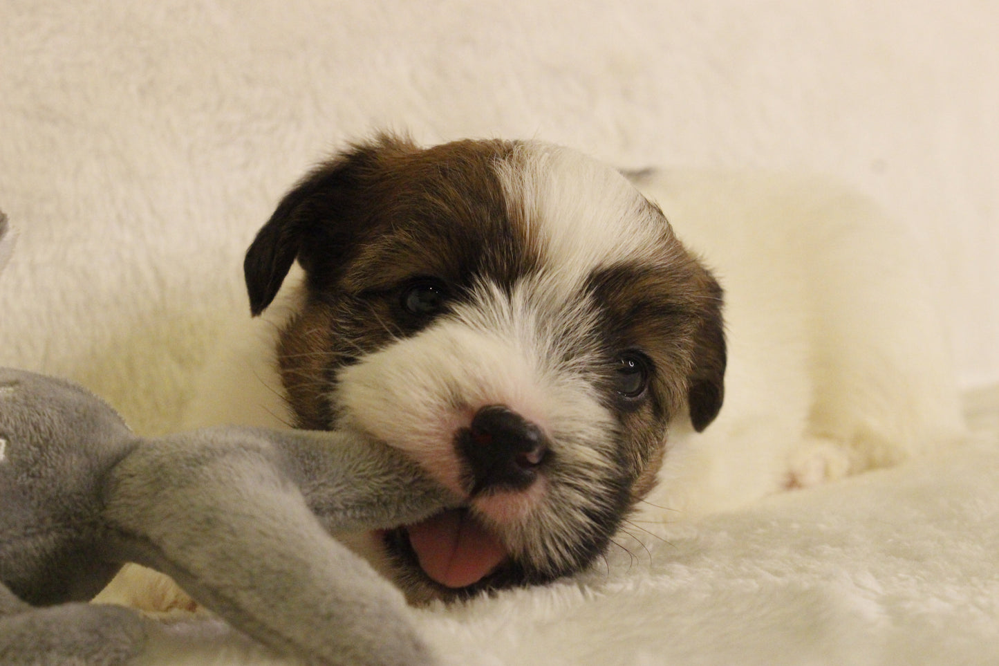 ミルベビー① 男の子