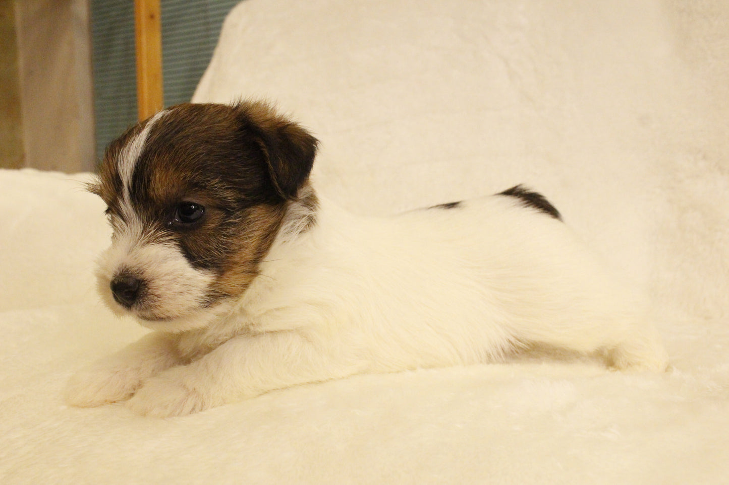 ミルベビー③ 女の子