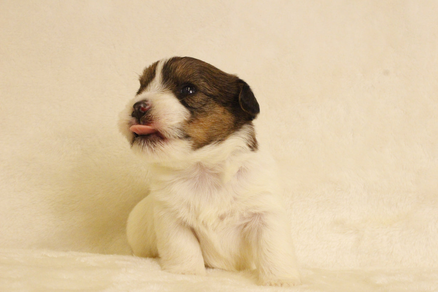 ミルベビー③ 女の子