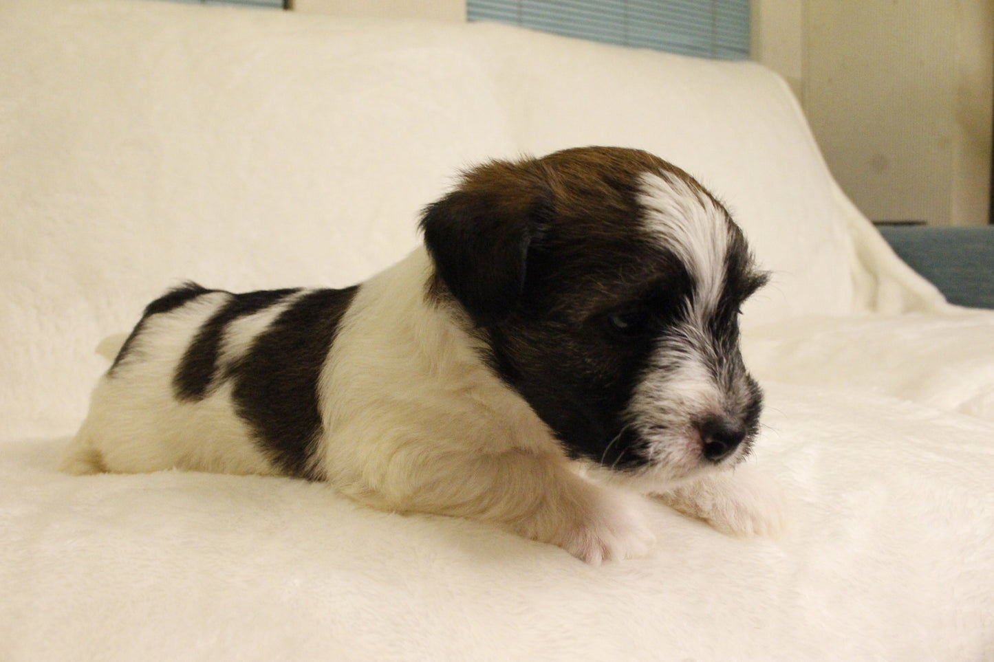 ミルベビー④ 男の子