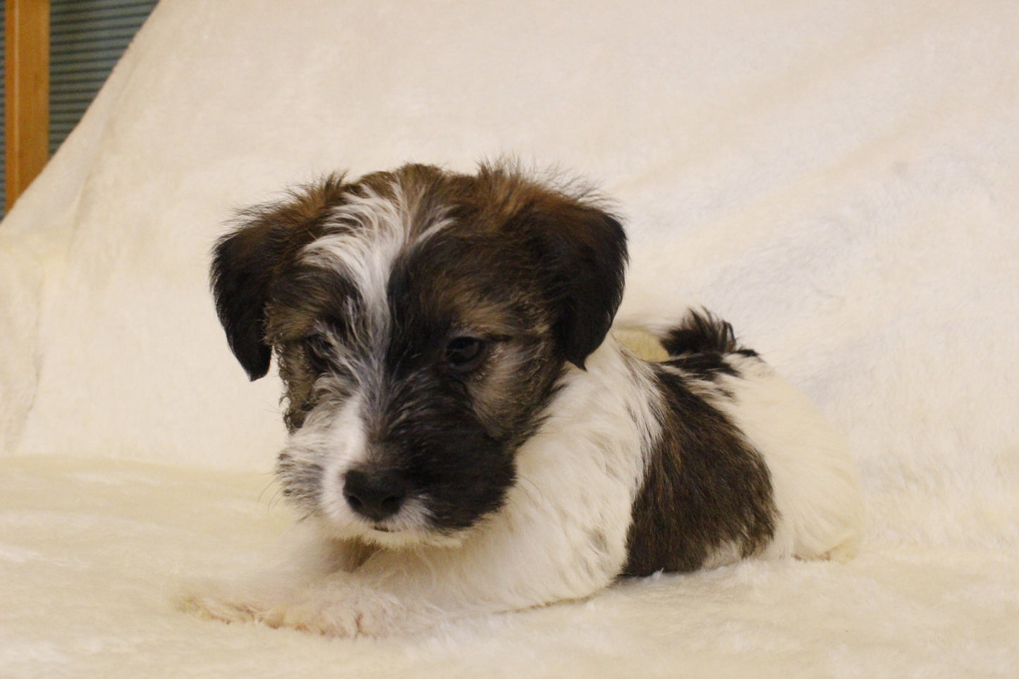 ミルベビー④ 男の子