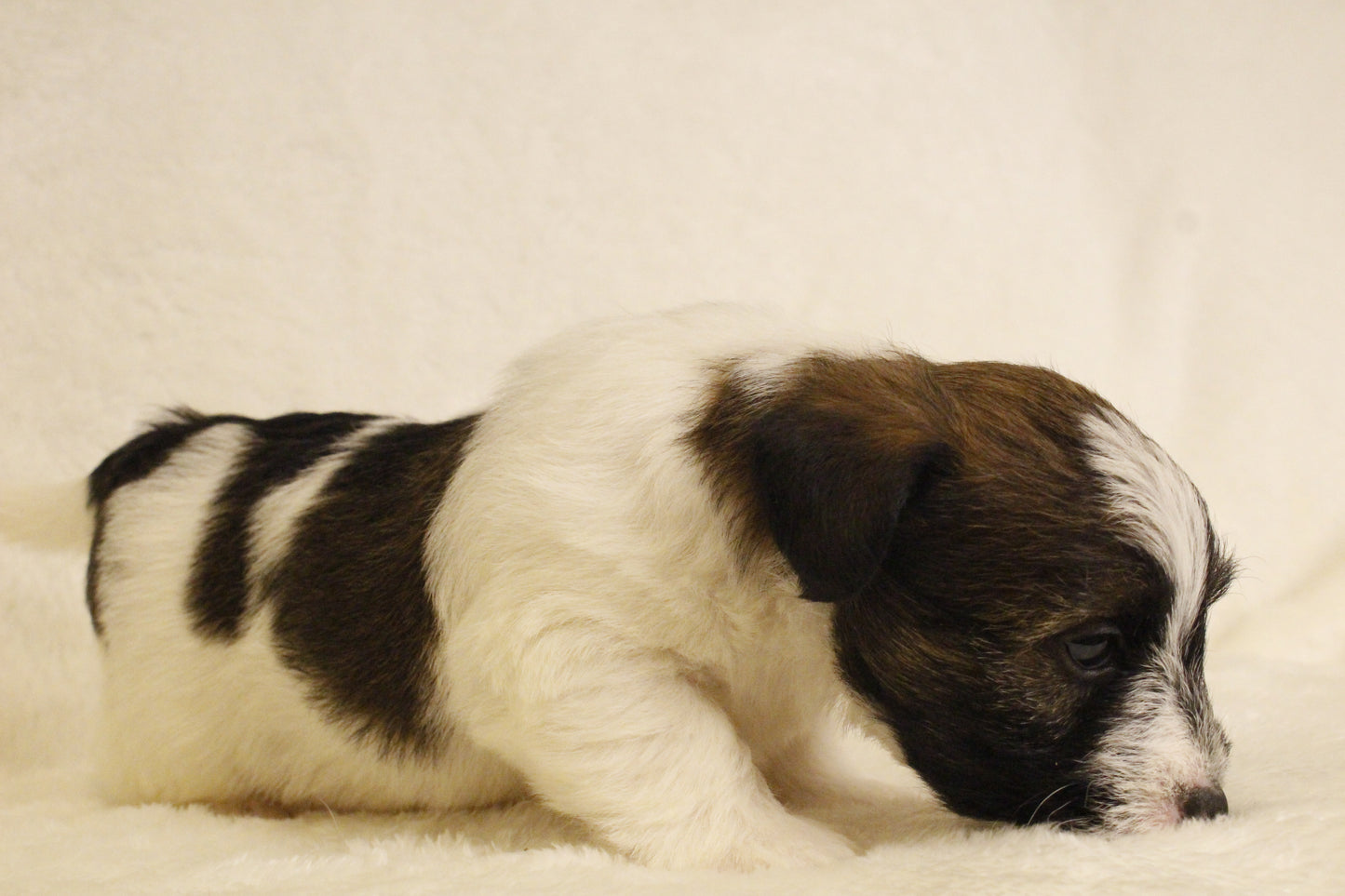 ミルベビー④ 男の子