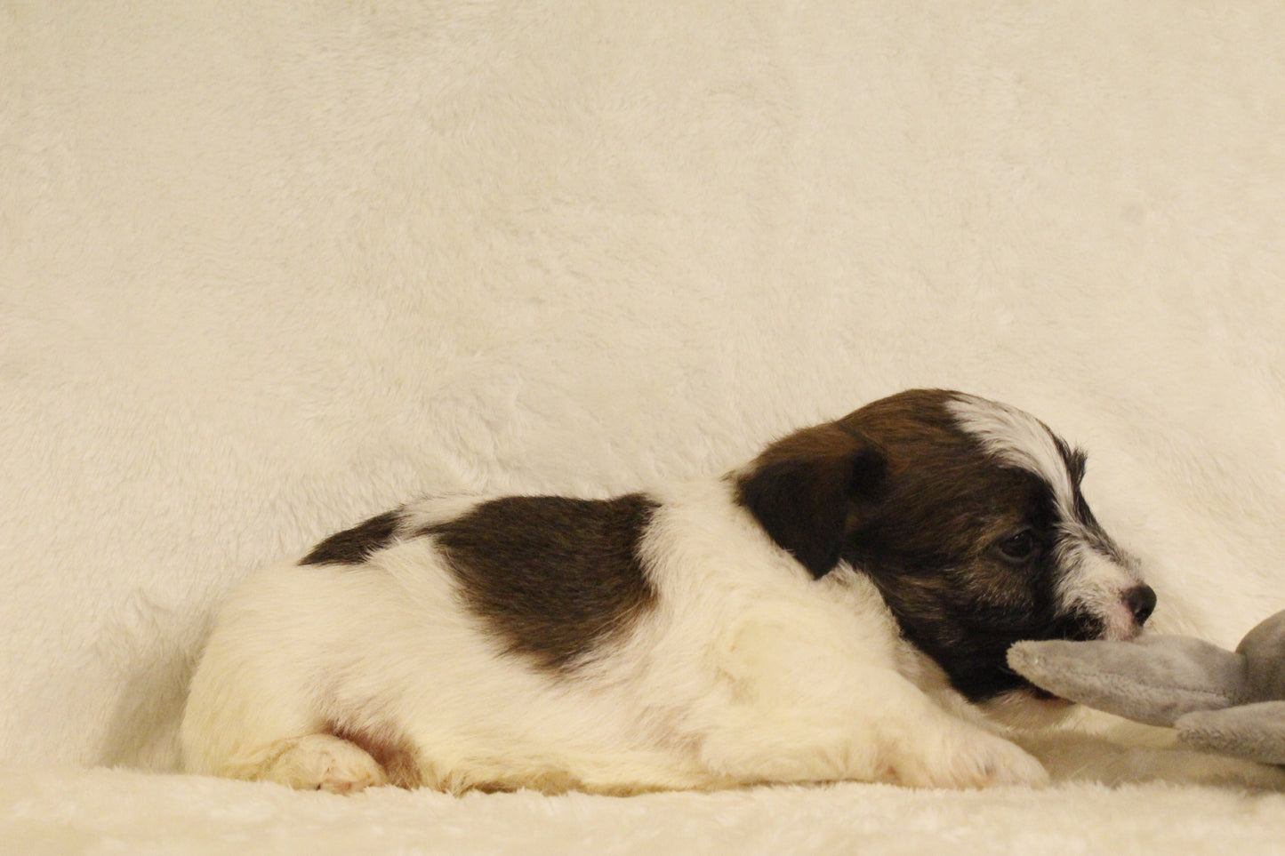 ミルベビー④ 男の子