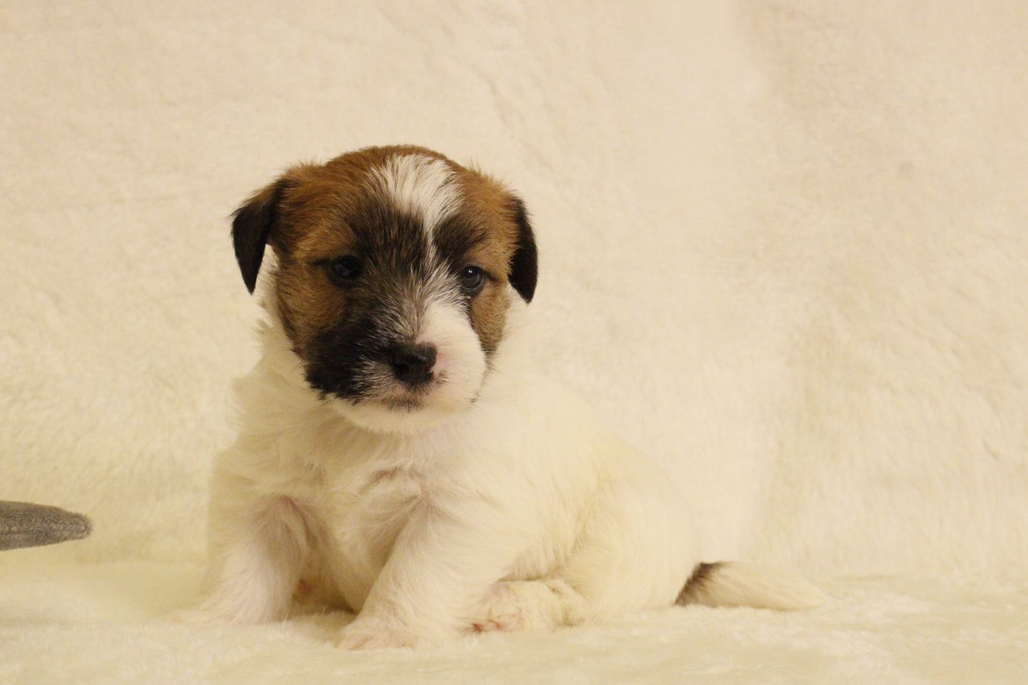 ミルベビー② 男の子