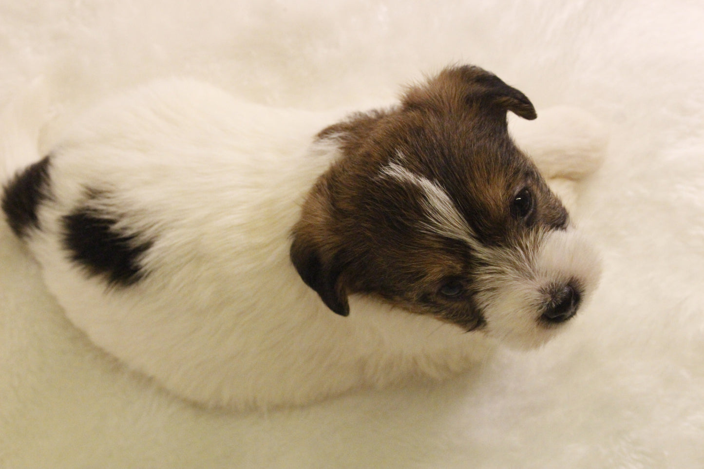 ミルベビー③ 女の子