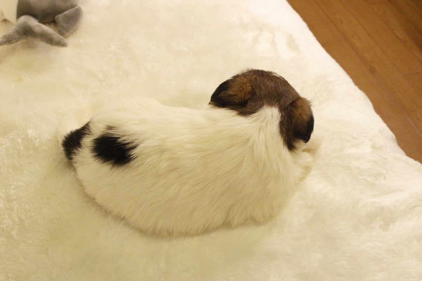 ミルベビー③ 女の子