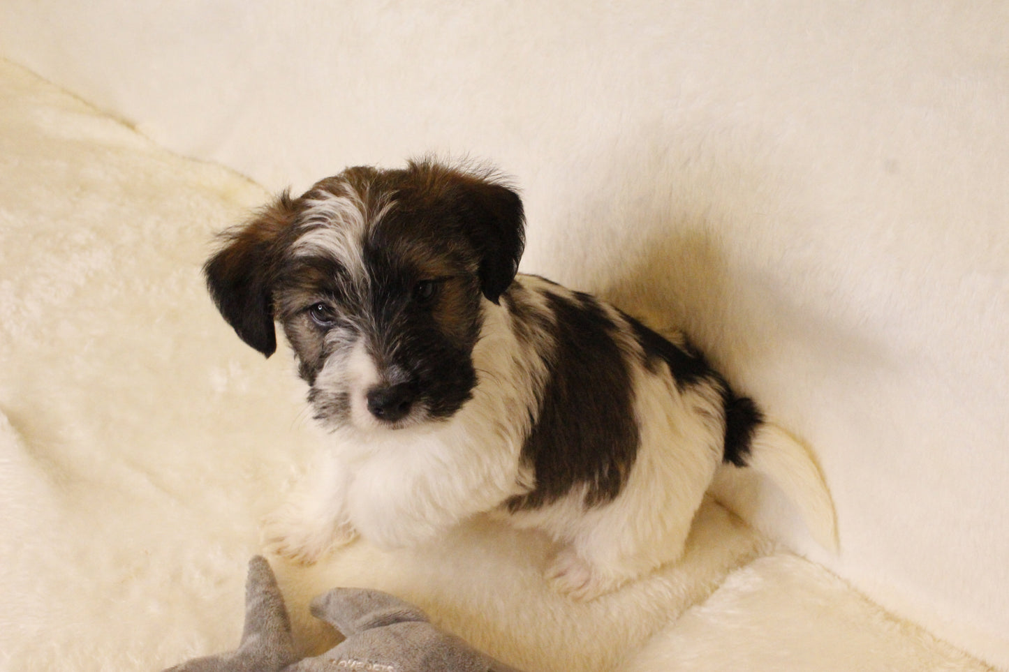 ミルベビー④ 男の子