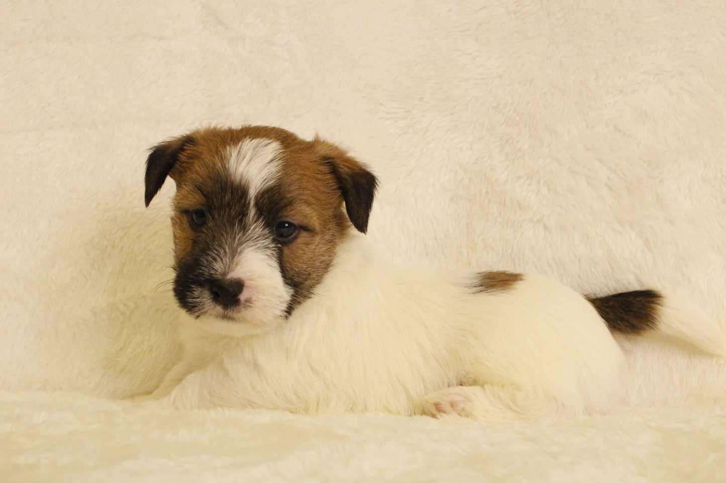 ミルベビー② 男の子