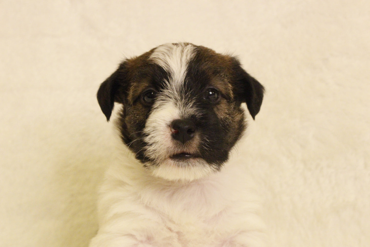 ミルベビー④ 男の子