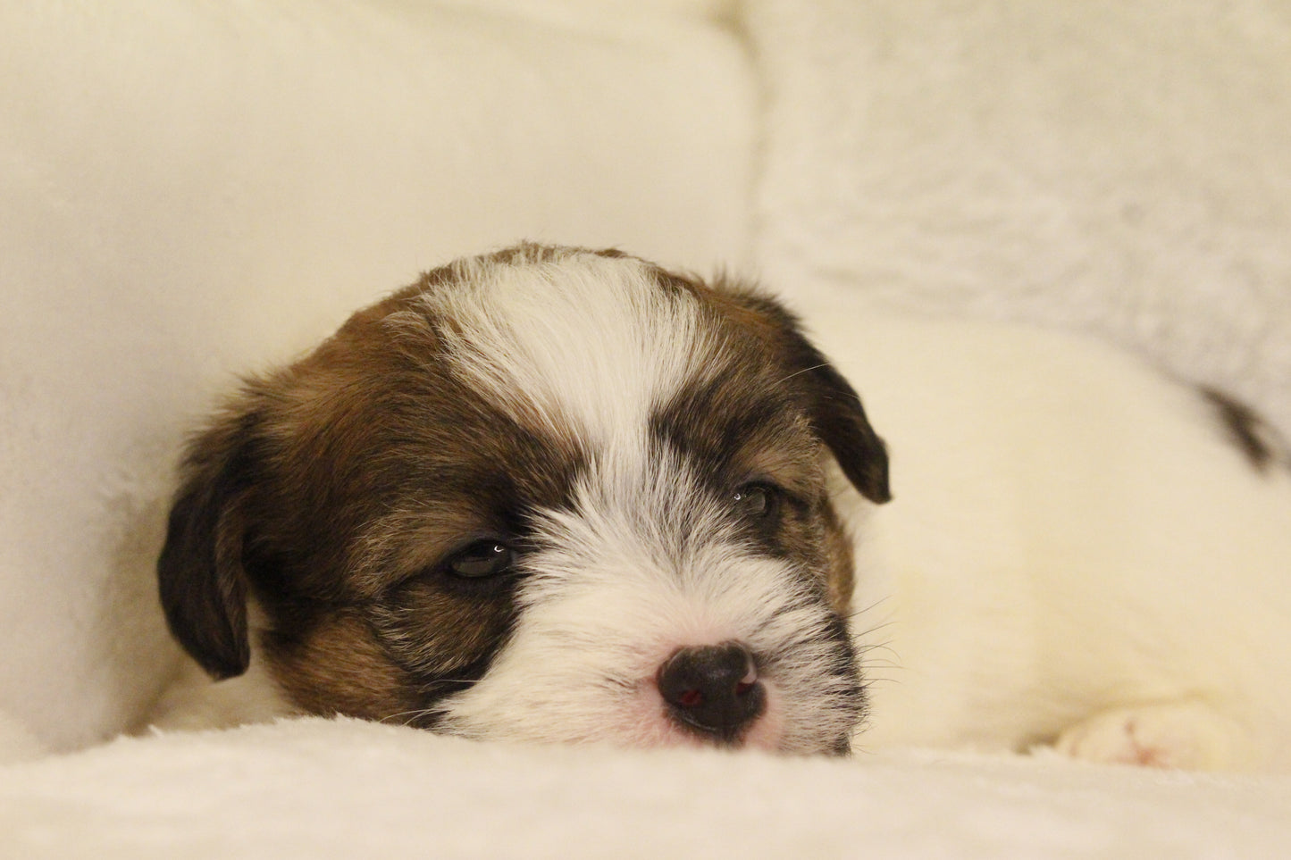 ミルベビー① 男の子