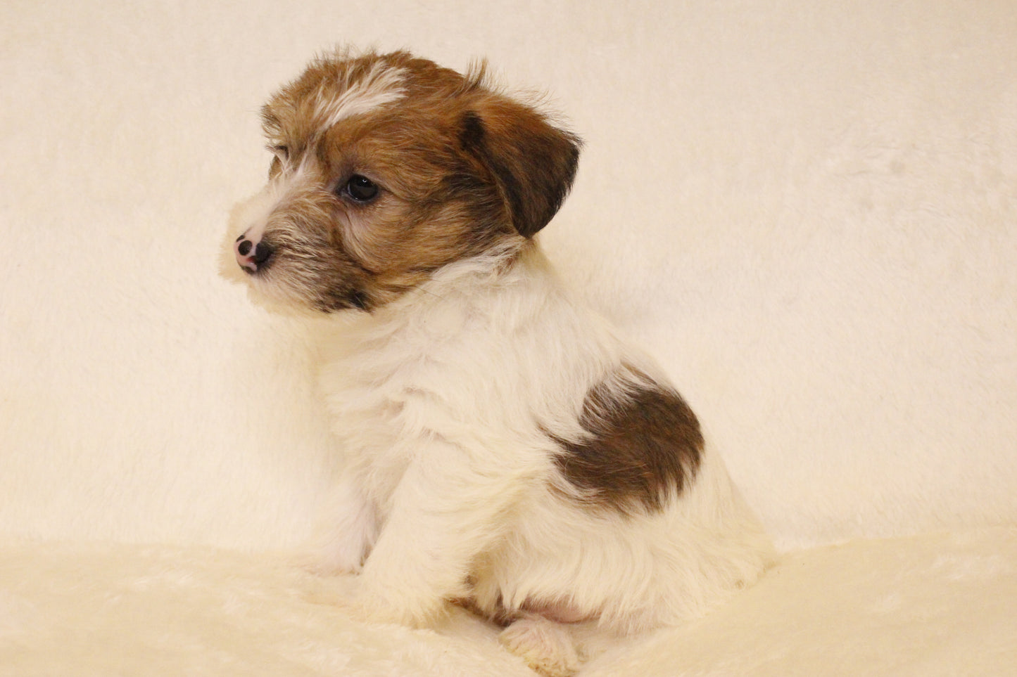 ミルベビー⑤ 女の子