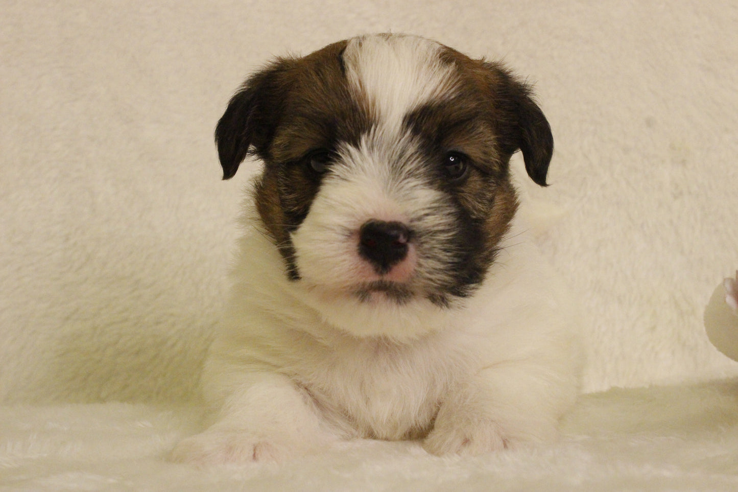 ミルベビー① 男の子