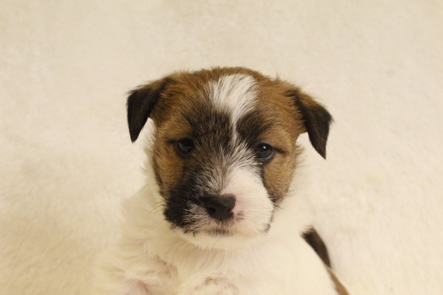 ミルベビー② 男の子