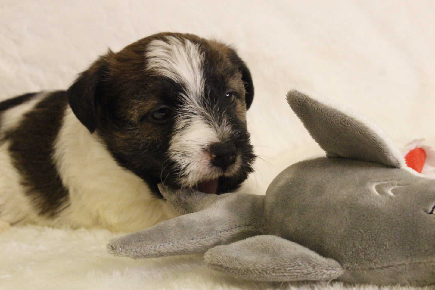 ミルベビー④ 男の子