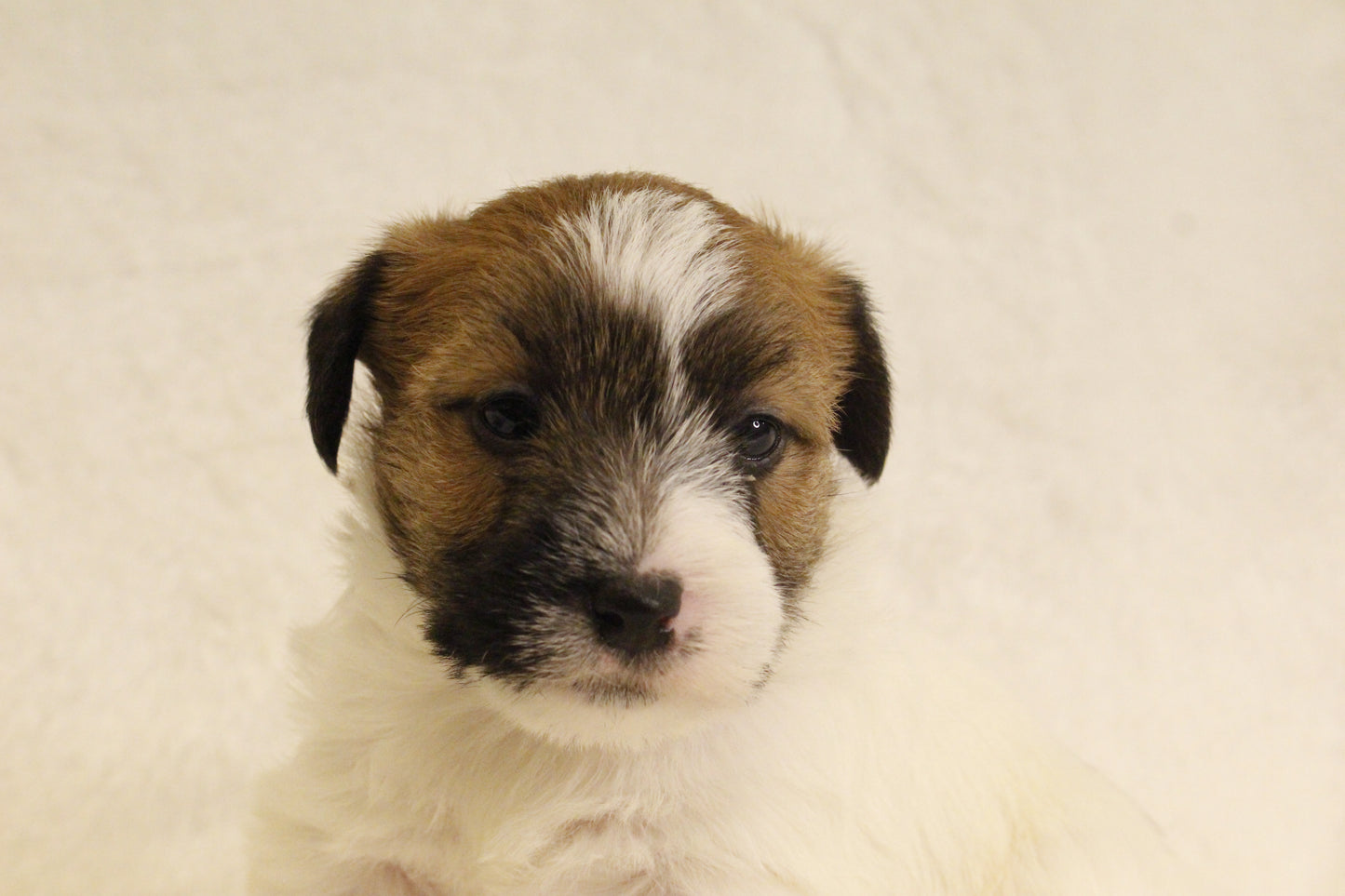 ミルベビー② 男の子