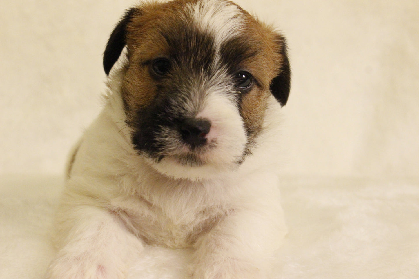 ミルベビー② 男の子