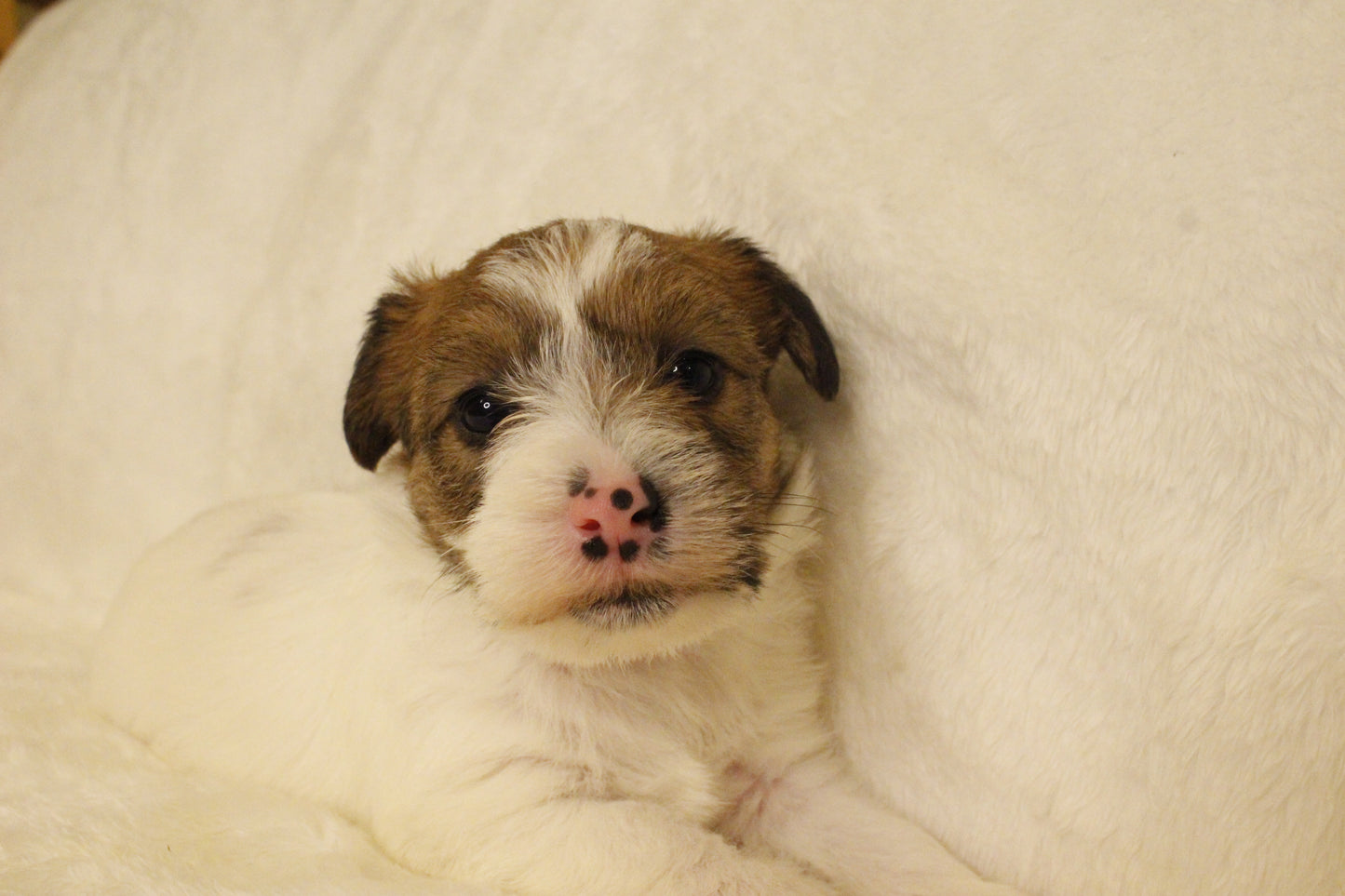 ミルベビー⑤ 女の子