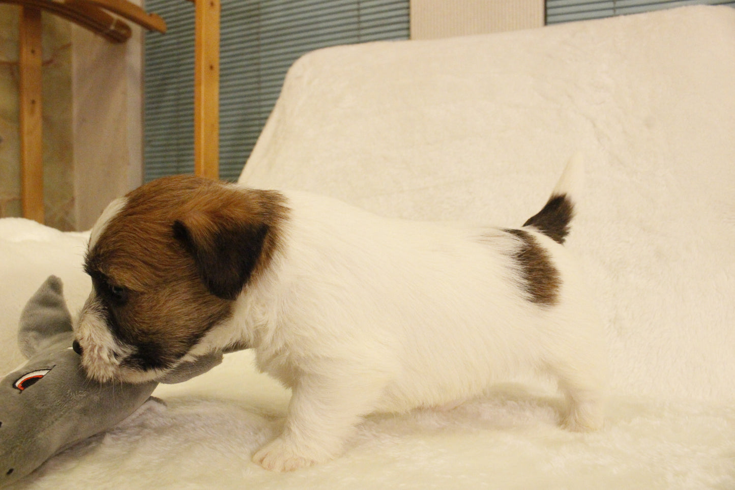 ミルベビー② 男の子