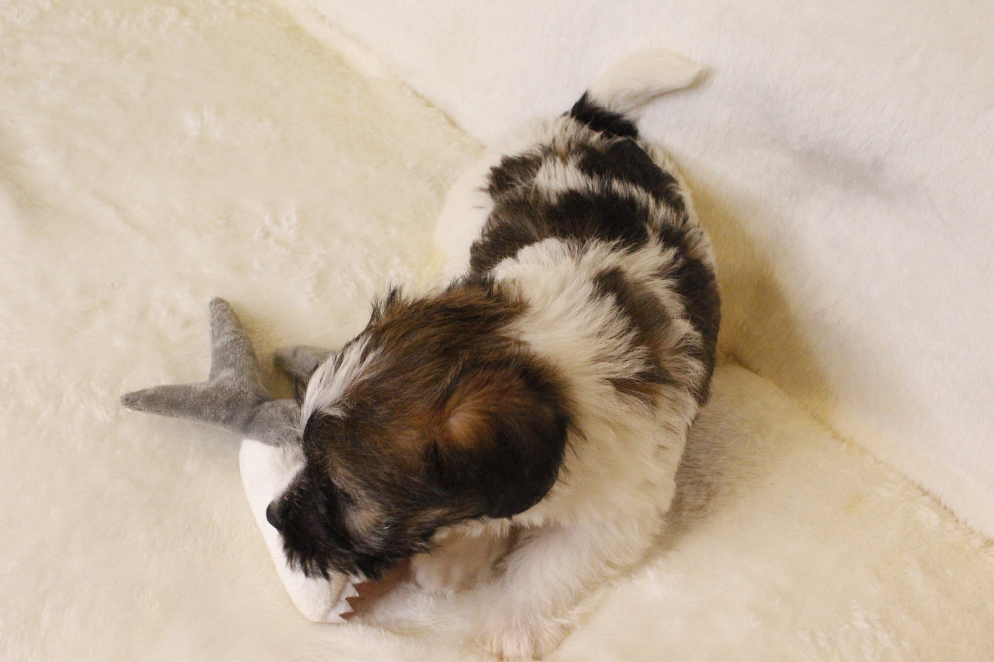 ミルベビー④ 男の子