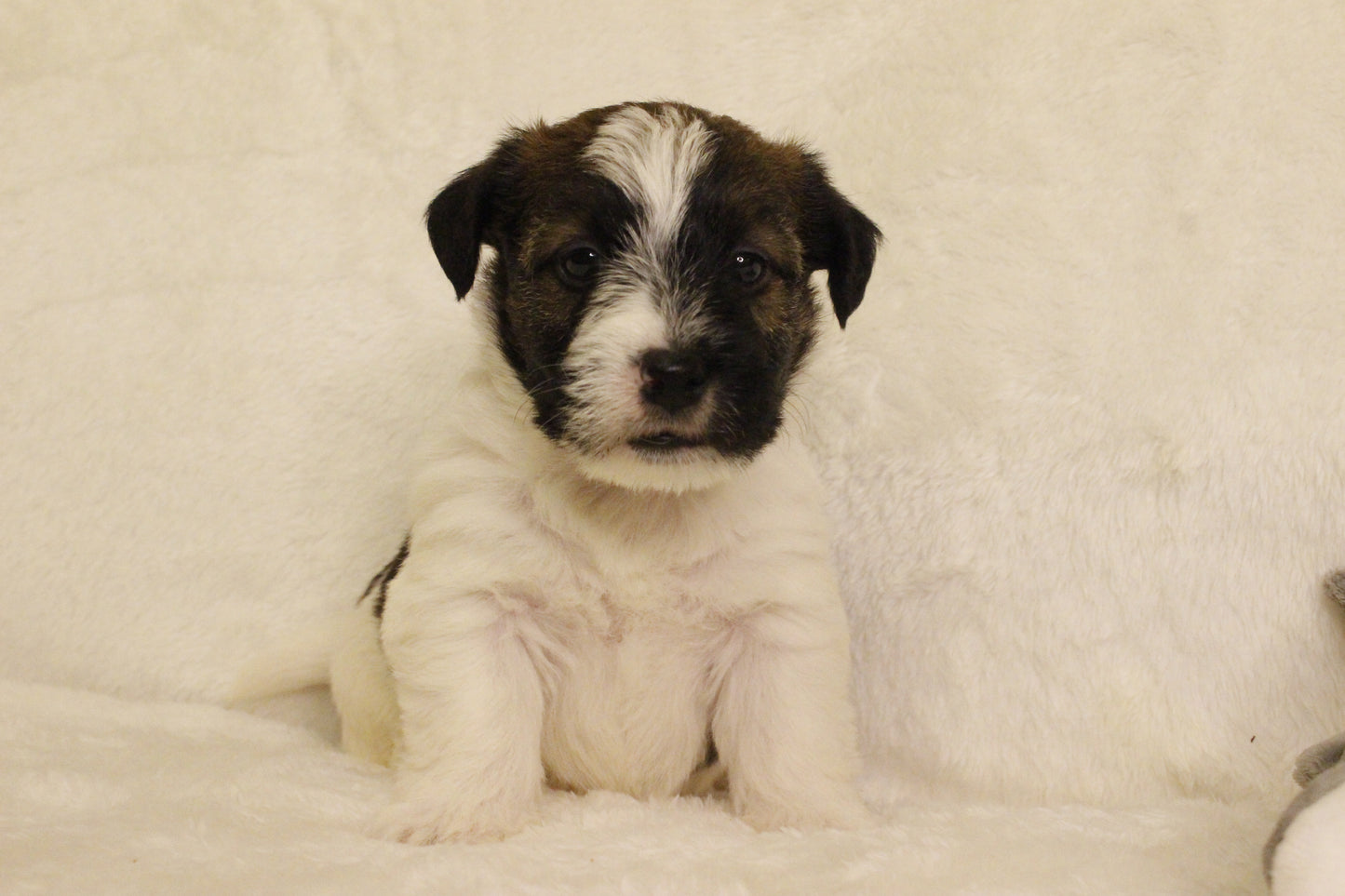 ミルベビー④ 男の子