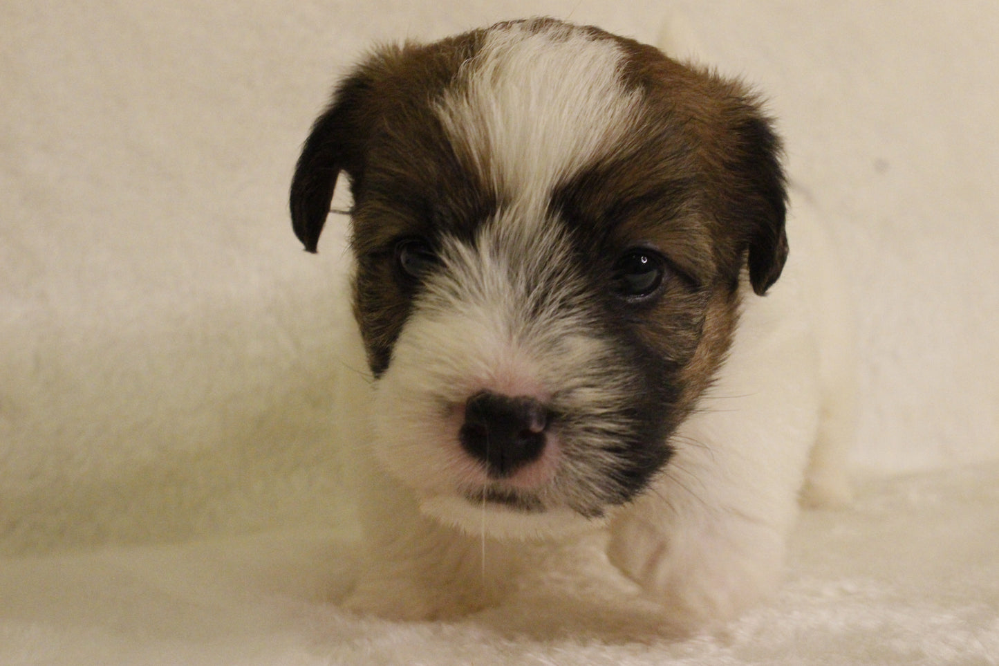 ミルベビー① 男の子