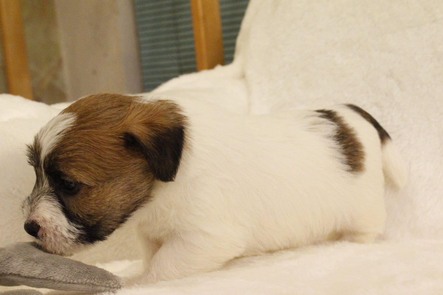 ミルベビー② 男の子