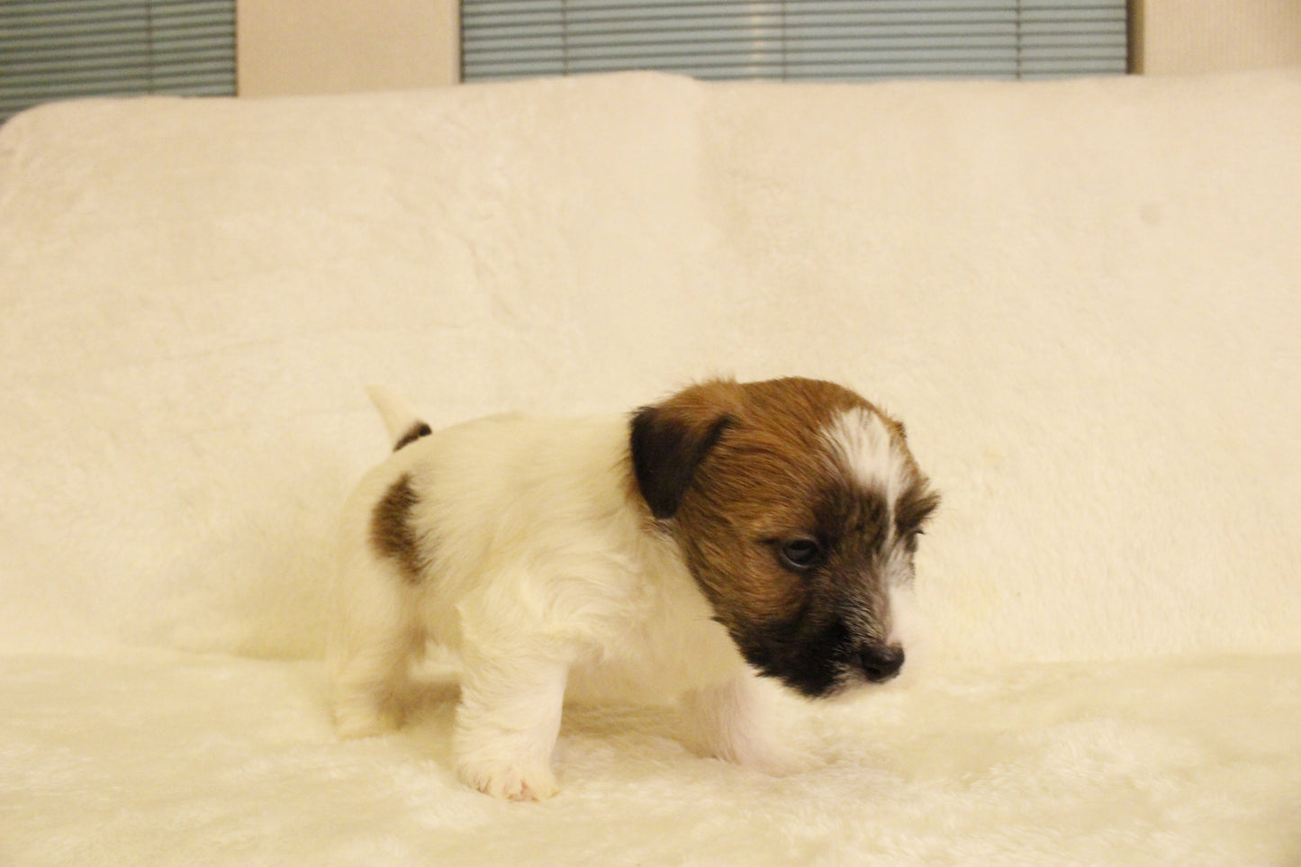 ミルベビー② 男の子