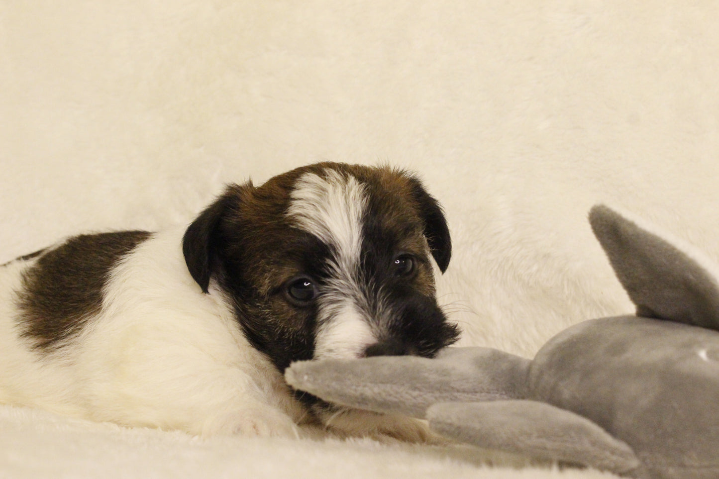 ミルベビー④ 男の子