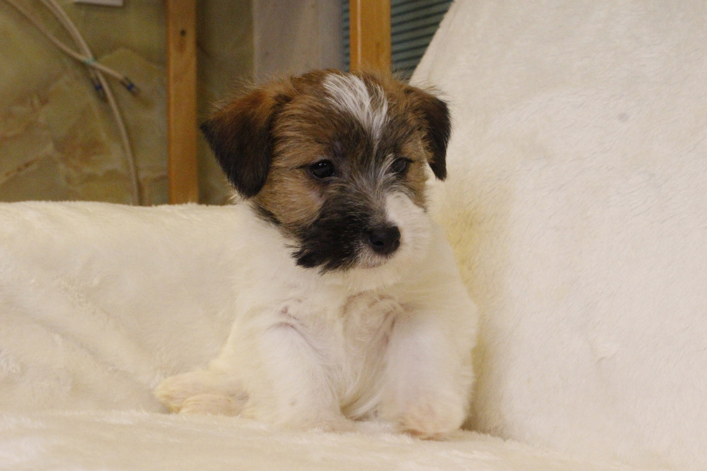 ミルベビー② 男の子