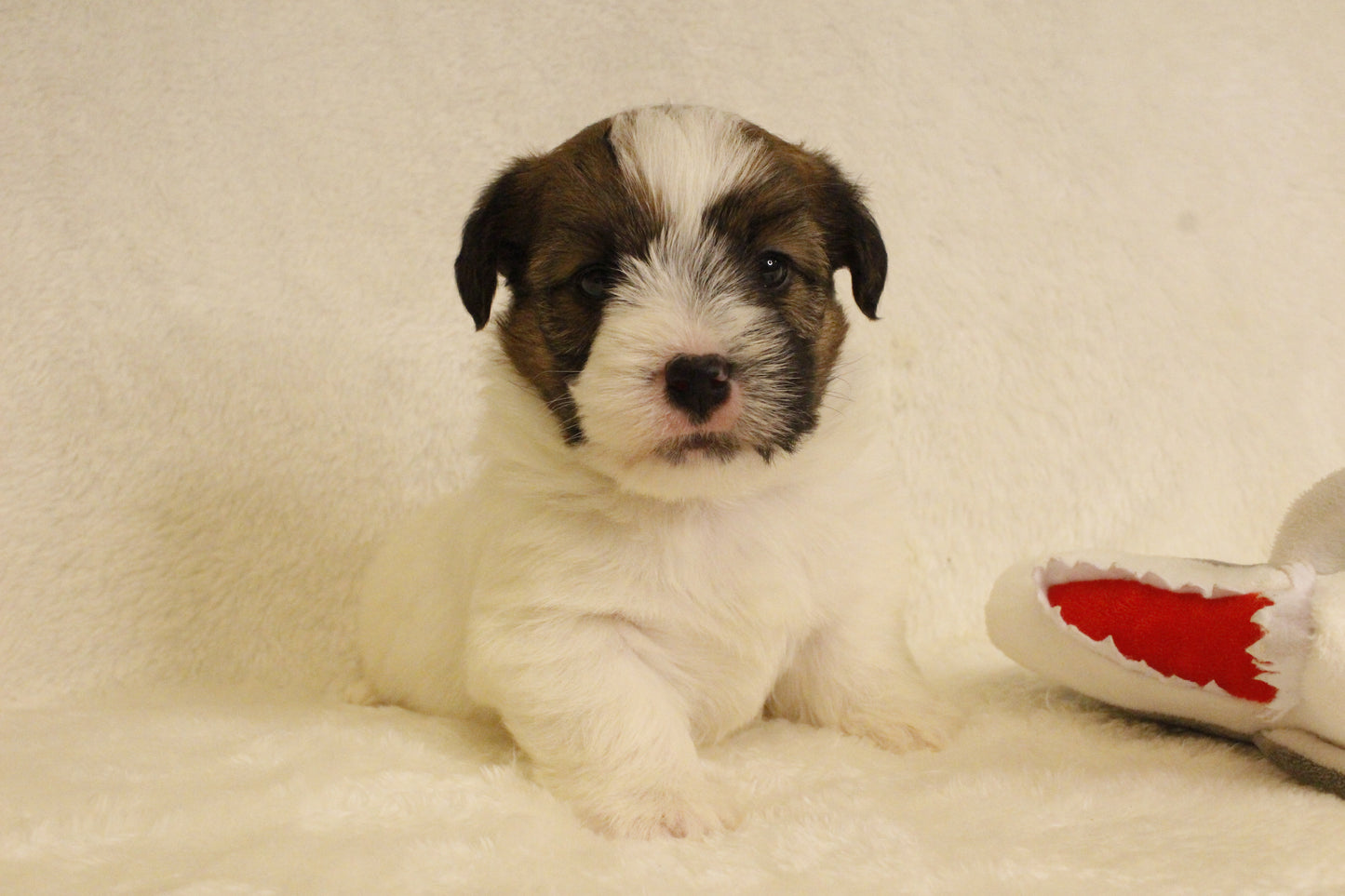 ミルベビー① 男の子