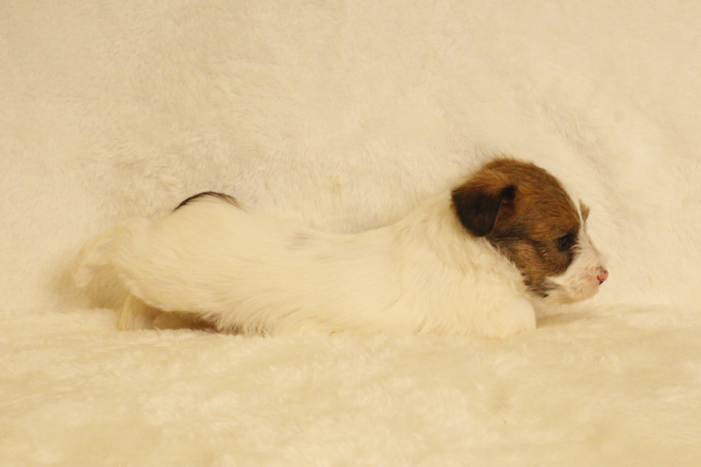 ミルベビー⑤ 女の子