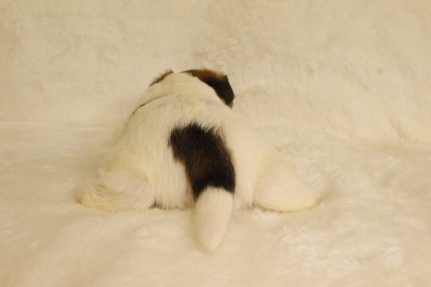 ミルベビー⑤ 女の子