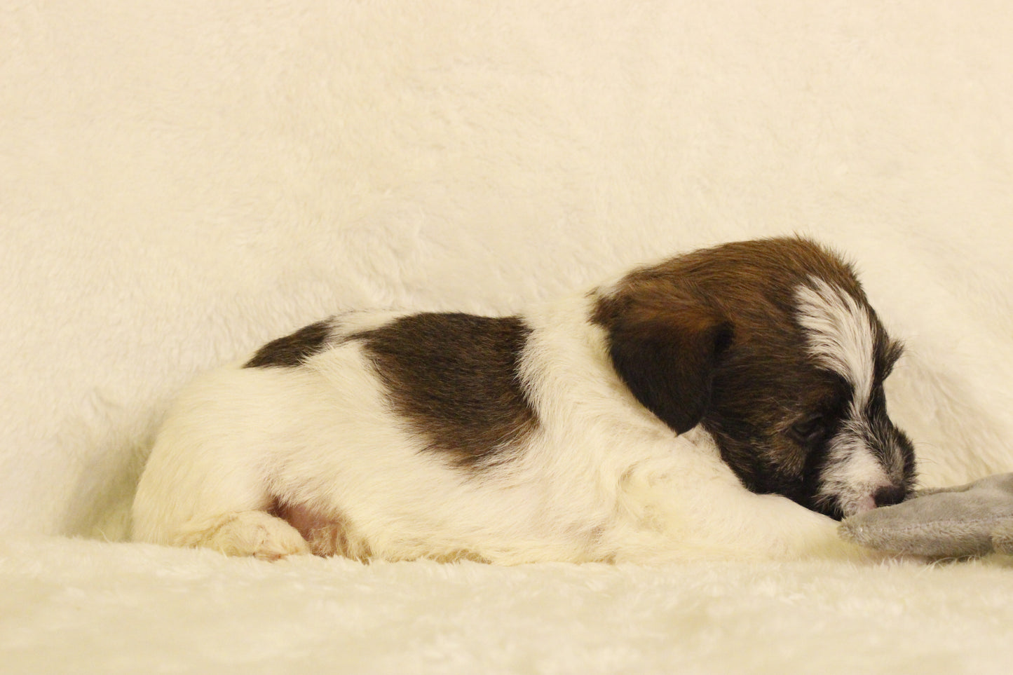 ミルベビー④ 男の子