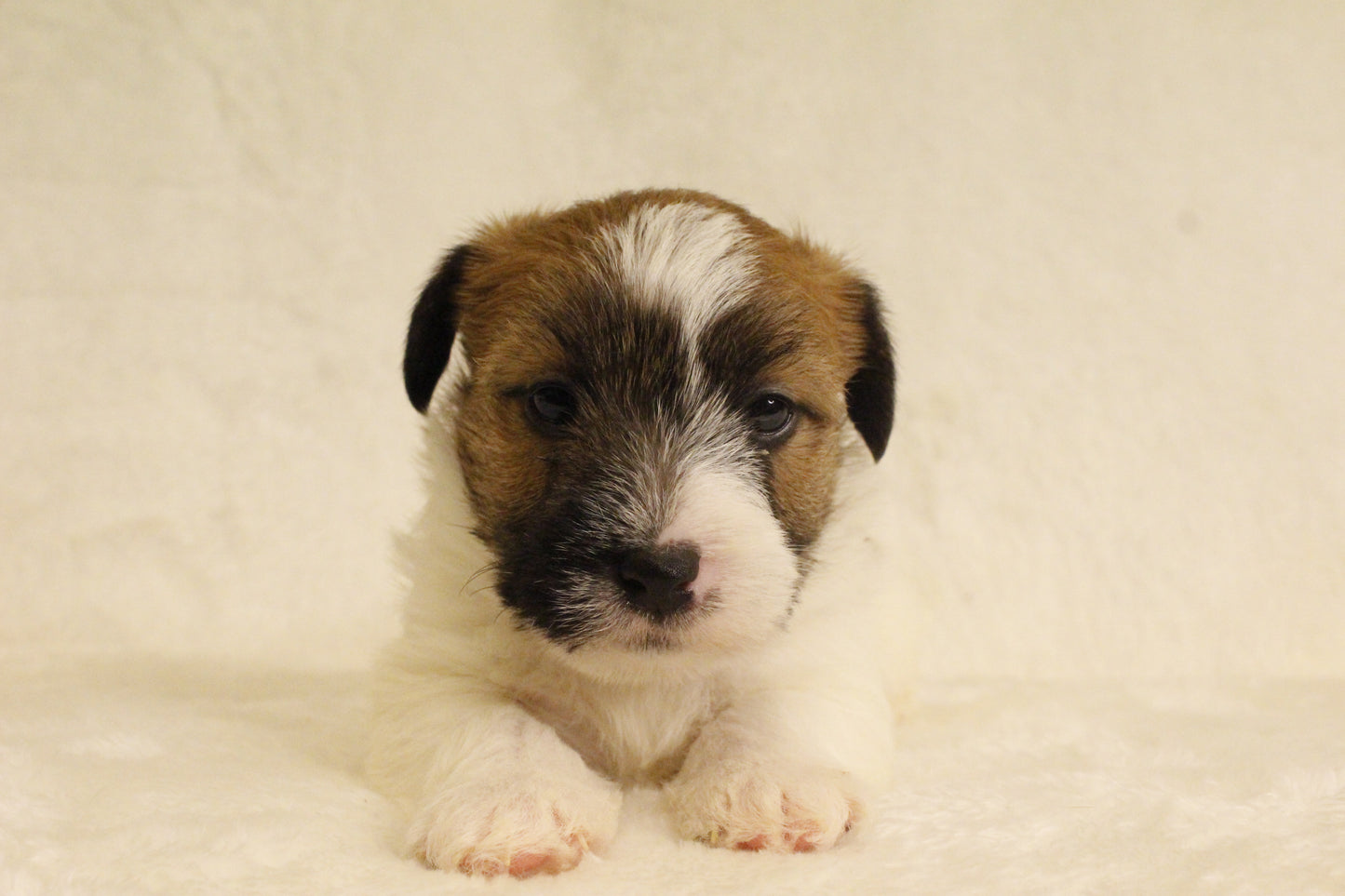 ミルベビー② 男の子