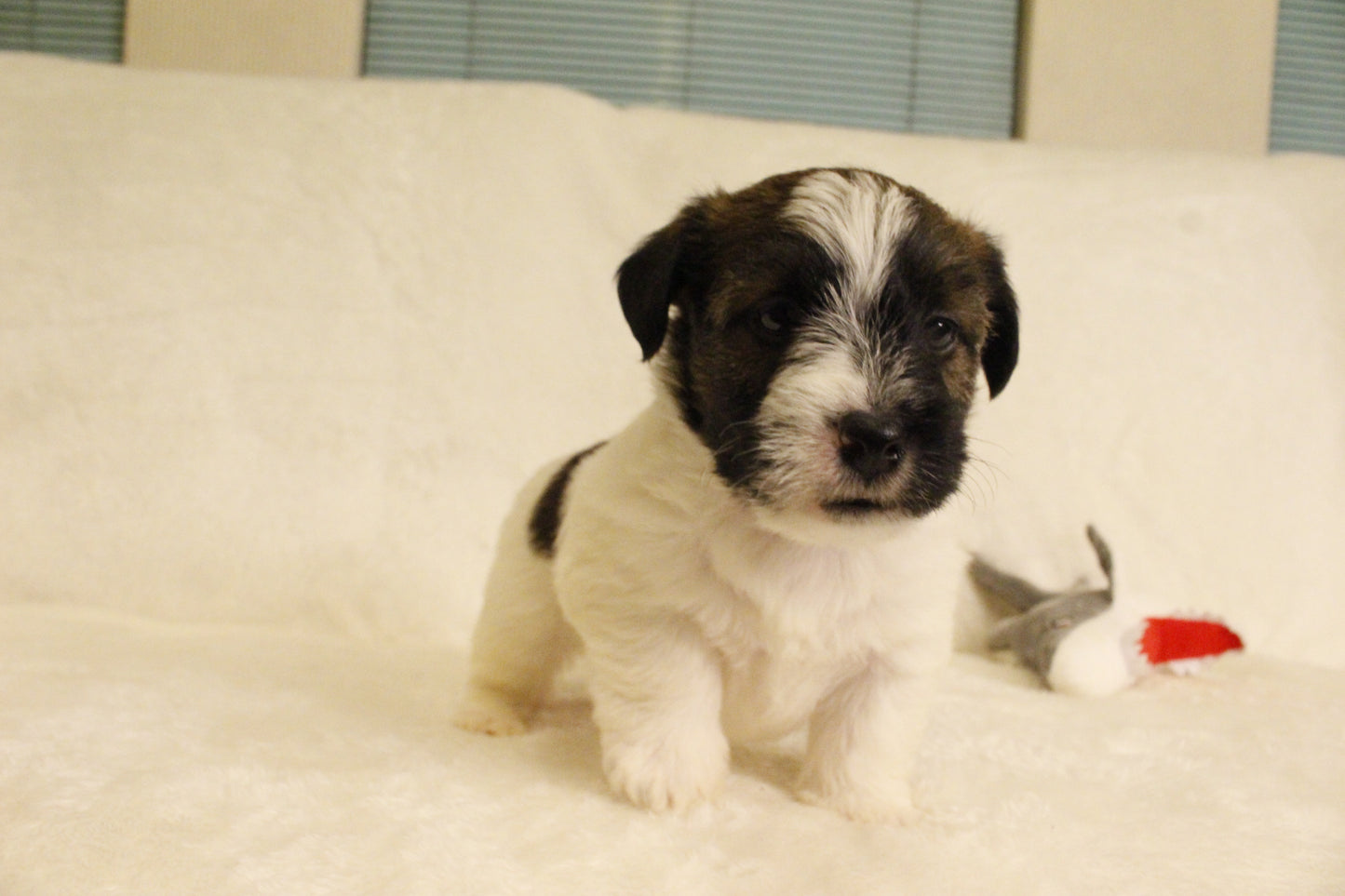 ミルベビー④ 男の子