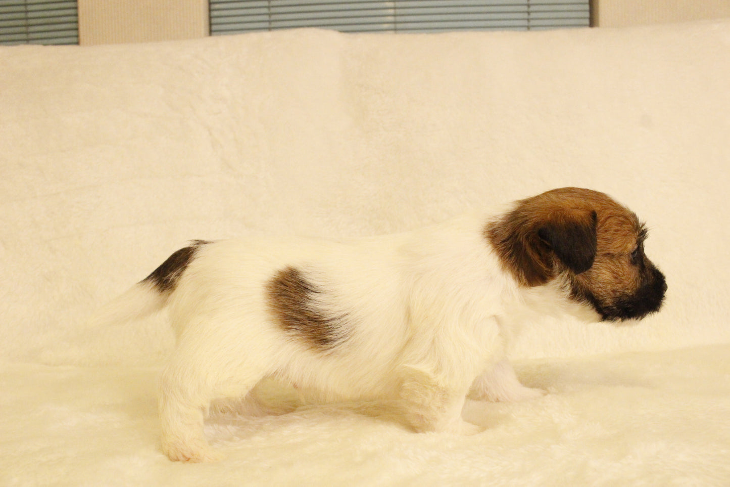 ミルベビー② 男の子