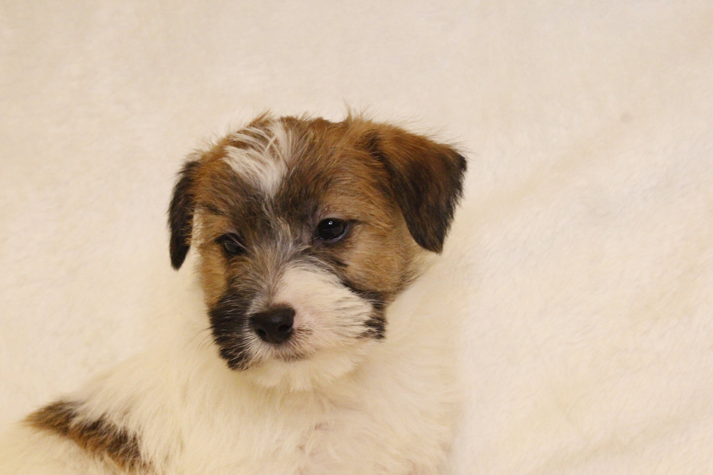 ミルベビー② 男の子