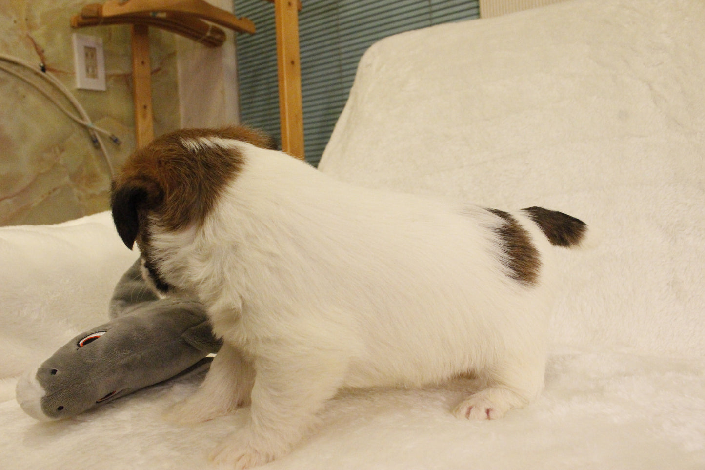 ミルベビー② 男の子