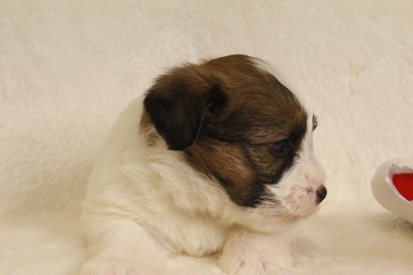 ミルベビー① 男の子