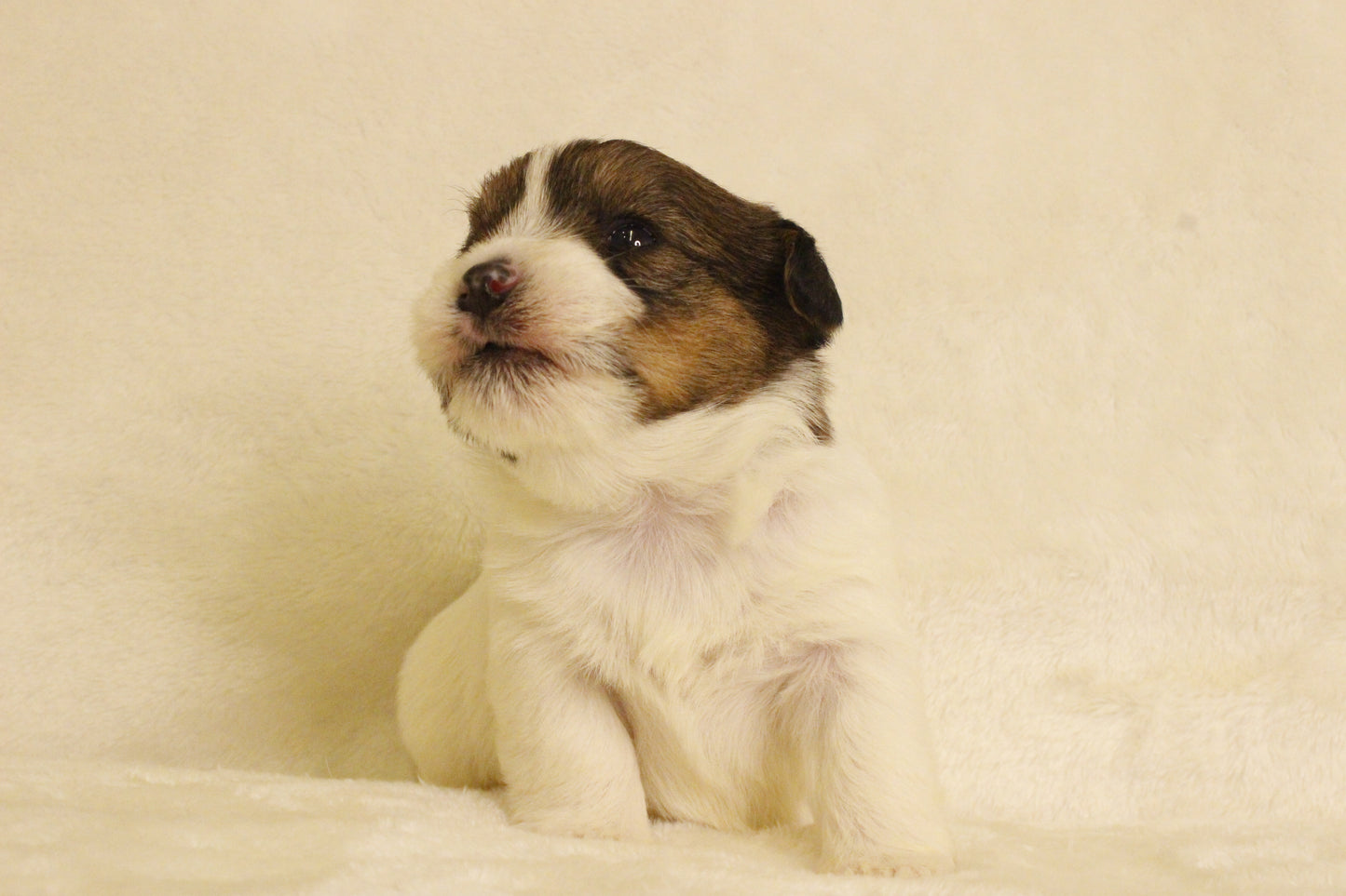 ミルベビー③ 女の子