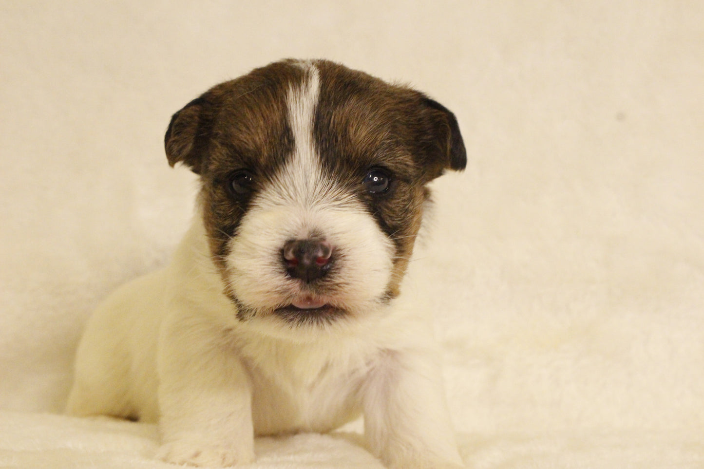 ミルベビー③ 女の子