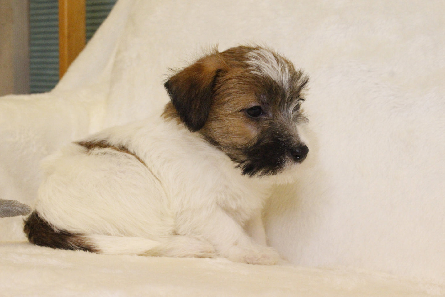 ミルベビー② 男の子