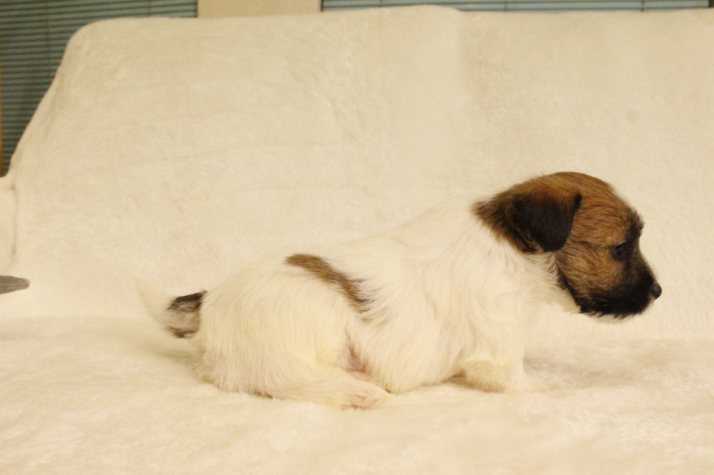 ミルベビー② 男の子