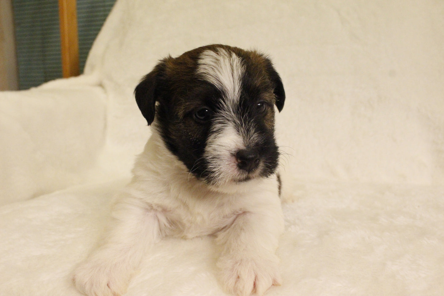 ミルベビー④ 男の子