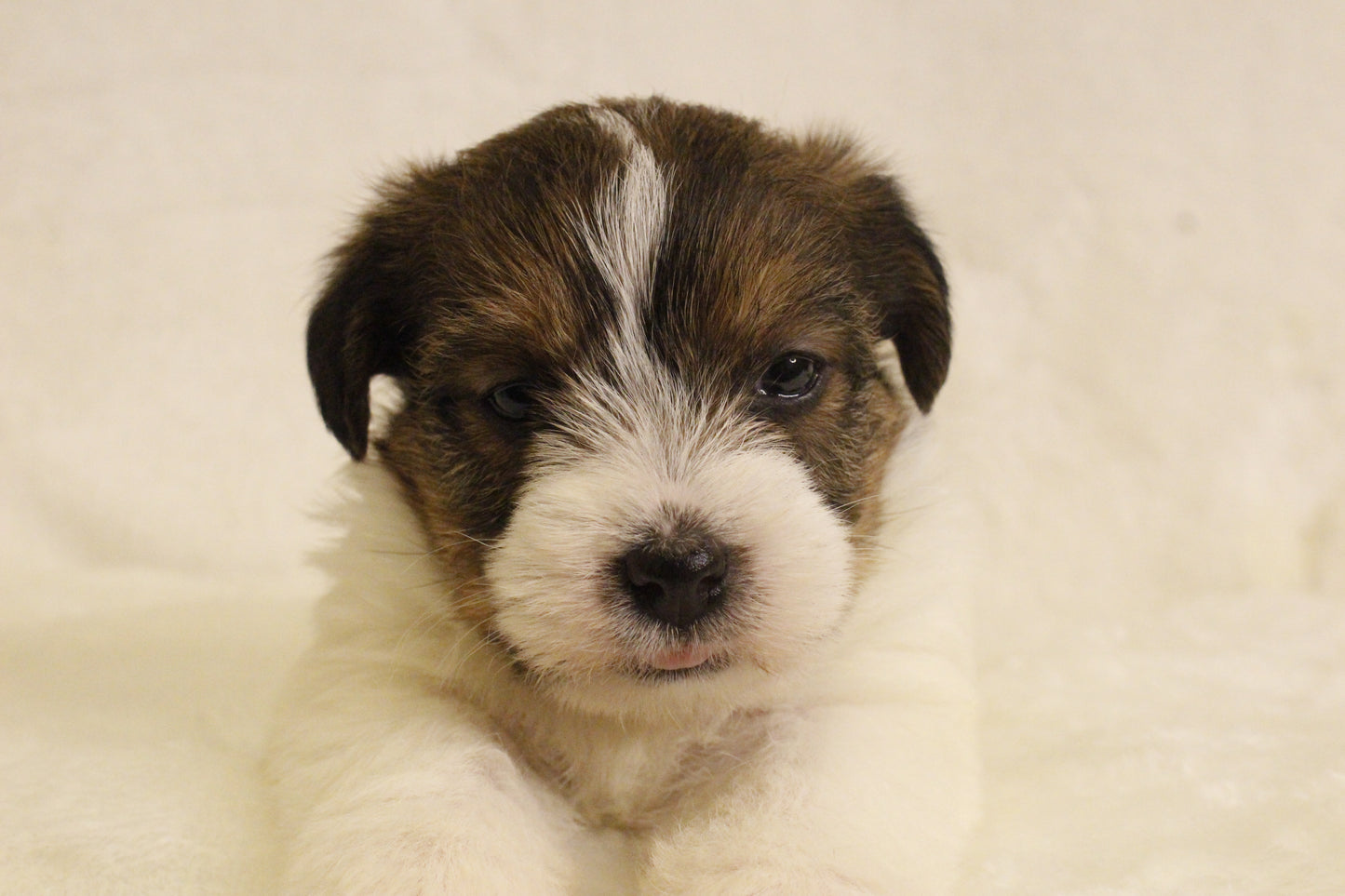 ミルベビー③ 女の子