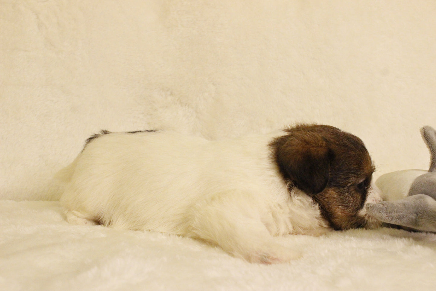 ミルベビー③ 女の子