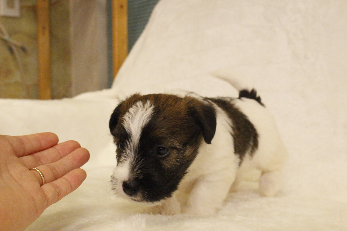 ミルベビー④ 男の子