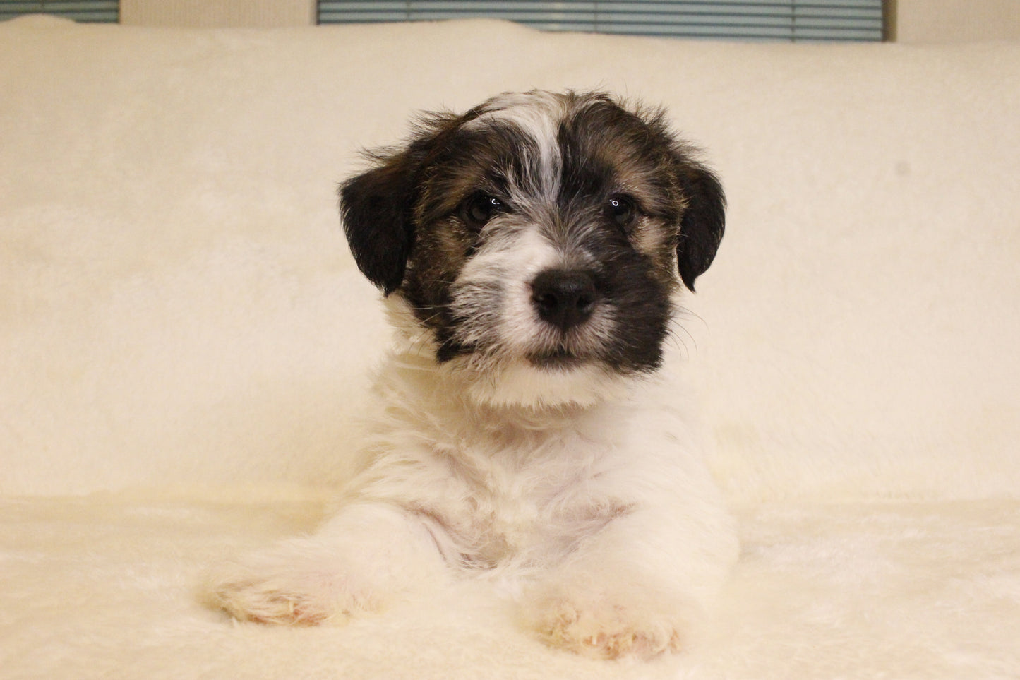 ミルベビー④ 男の子